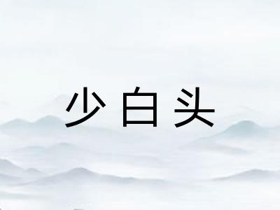 少白头 少白头