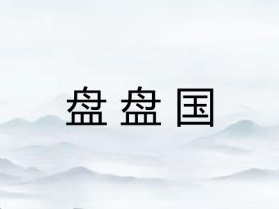 盘盘国