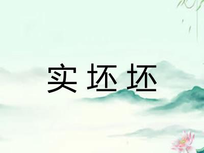 实坯坯