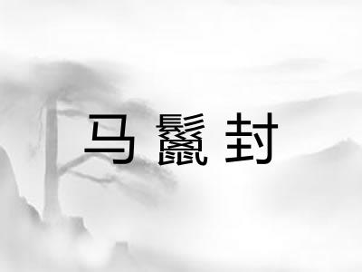 马鬣封
