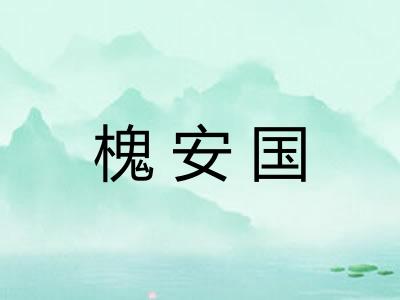槐安国