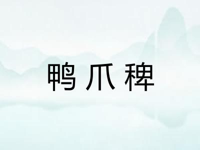 鸭爪稗