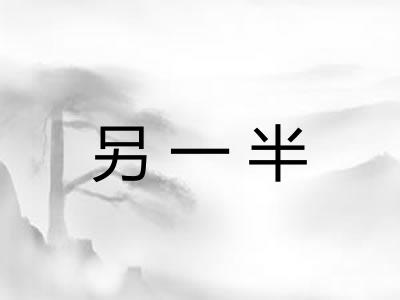 另一半