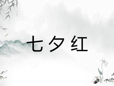 七夕红 七夕红