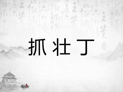 抓壮丁