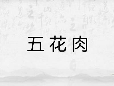 五花肉 五花肉