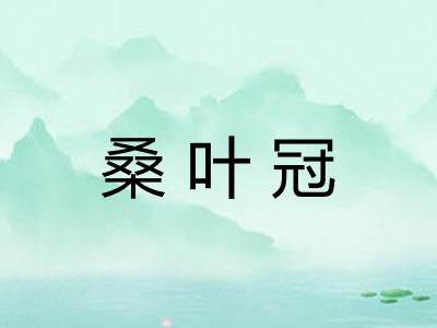 桑叶冠