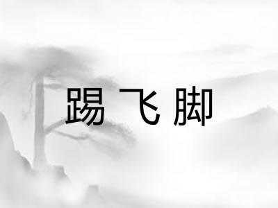 踢飞脚