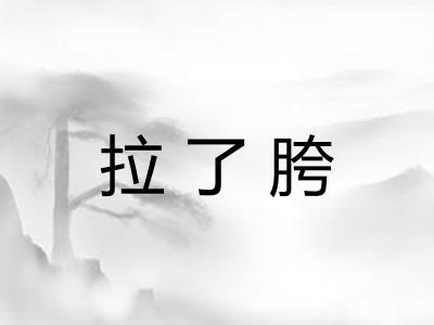 拉了胯