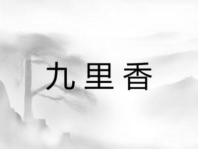九里香