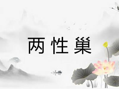 两性巢