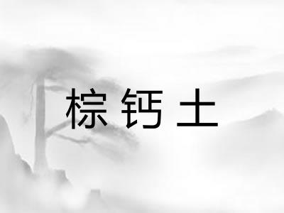 棕钙土