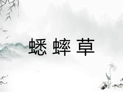 蟋蟀草
