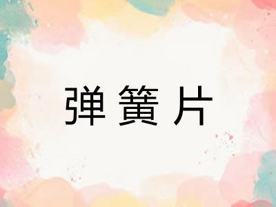 弹簧片