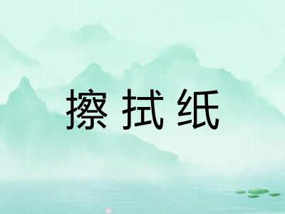 擦拭纸