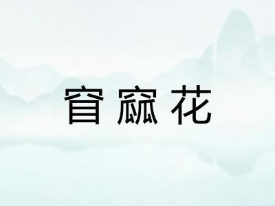 窅窳花