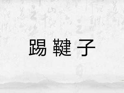 踢鞬子