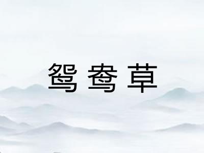鸳鸯草