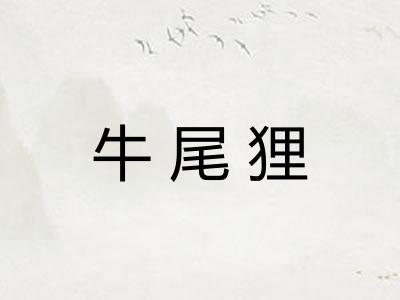 牛尾狸