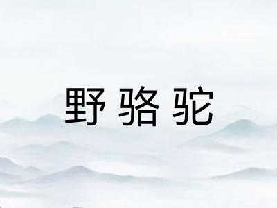 野骆驼
