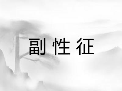 副性征