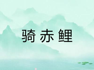 骑赤鲤