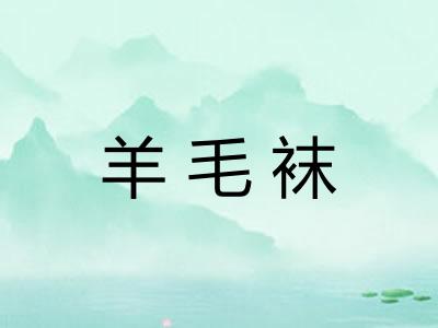 羊毛袜