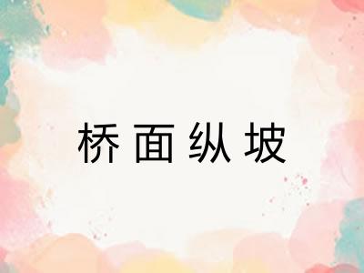 桥面纵坡