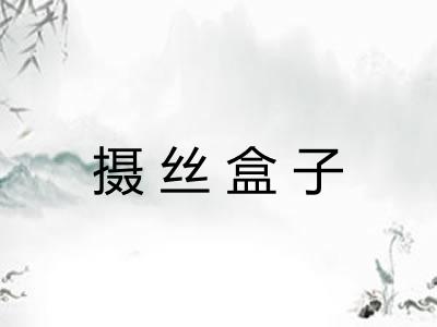 摄丝盒子