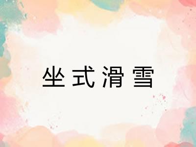 坐式滑雪