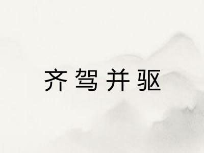 齐驾并驱