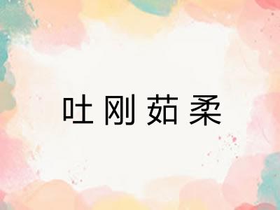 吐刚茹柔