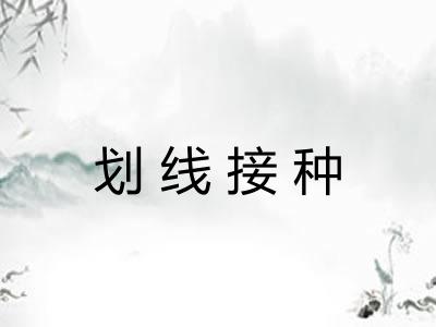 划线接种