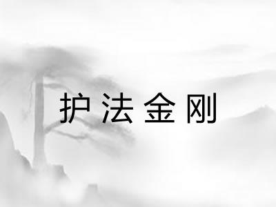护法金刚
