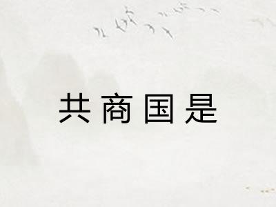 共商国是