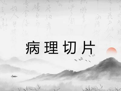 病理切片