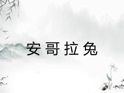 安哥拉兔