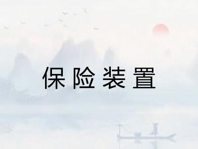 保险装置