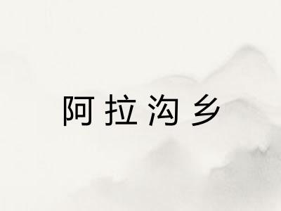 阿拉沟乡
