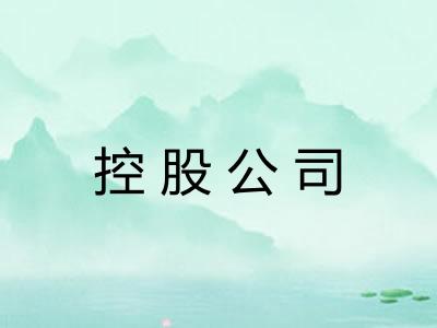 控股公司