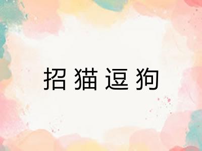 招猫逗狗