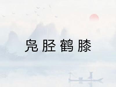 凫胫鹤膝