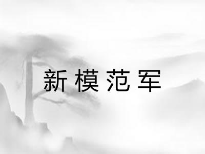 新模范军