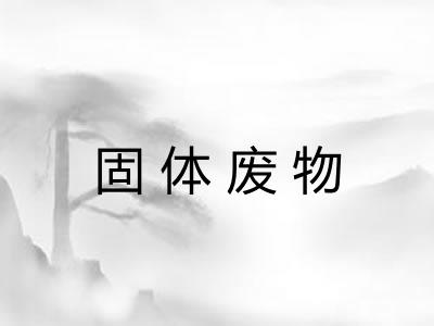 固体废物