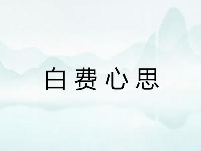 白费心思