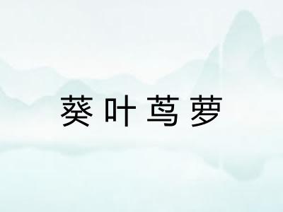 葵叶茑萝
