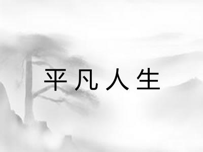 平凡人生