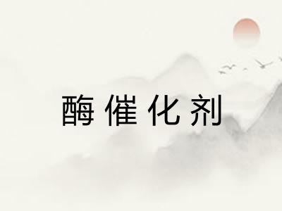 酶催化剂