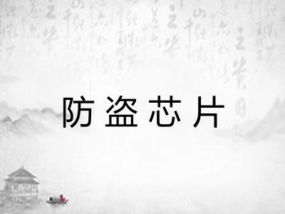 防盗芯片