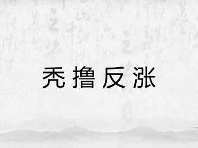 秃撸反涨